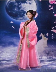 唐装漢服 中華民族服 中国古代宮廷風衣装 チャイナドレス ピンク hhy001