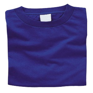 カラーTシャツ L 032 ロイヤルブルー 運動会・発表会・イベント シャツ・Tシャツ・衣料