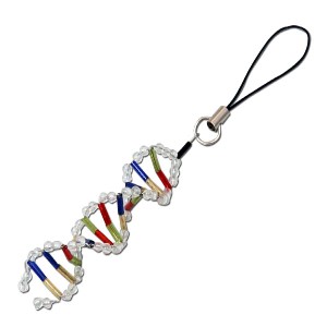 DNAストラップ作り 理科教材・備品 人体・からだ・模型・標本