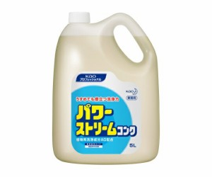 花王 パワーストリームコンク 5L 業務用 食器・野菜用洗剤(無香料)  1ケース(2本入)