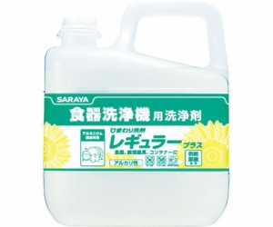 サラヤ ひまわり洗剤レギュラープラス6Kg 31686 1個