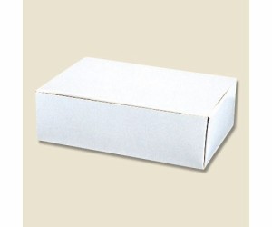 シモジマ HEIKO サンドイッチケース 白 100枚 1パック(100枚入) 004200600