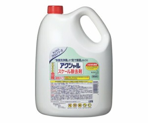 花王 花王 アクシャル スケール除去剤 5kg 1個