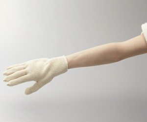 三興化学工業 オートクレーブ手袋（5双入） 長さ22cm 1箱(5双入)