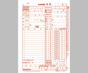 社保カルテ A4サイズ 1号紙 370