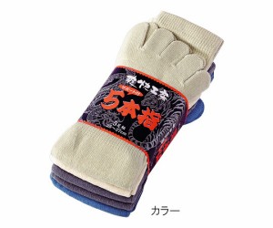 川西工業 5本指ソックス カラー 1束（5足入） 1束(5足入) 6071