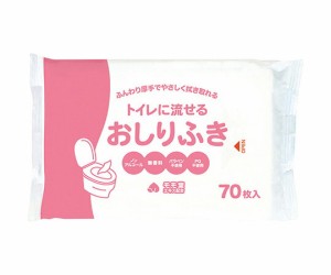 大富士製紙 トイレに流せる介護用ウェットおしりふき 1袋(70枚入) M0058