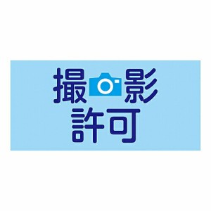 日本緑十字社 ゴム腕章 「撮影許可」 GW-9L 1本 139609