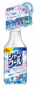 【小林製薬】桐灰　シャツクール　フローラルソープ２８０ＭＬ