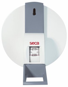 seca壁掛け式簡易身長計 測定範囲:0〜220cm 206 入数：1