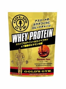 ゴールドジム GOLD'S GYM ホエイプロテイン チョコレート風味 20G 小袋 ホエイプロテイン レディース 