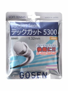 ゴーセン GOSEN ＴＥＣＧＵＴ　５３００ ソフトテニスストリングス レディース 