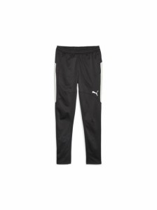 プーマ PUMA INDIVIDUAL WINTERIZED パンツ ウインドブレーカー レディース 