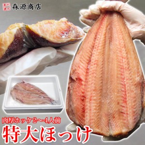 干物 送料無料 超特大肉厚ほっけ!!脂のり抜群 頭なし 3枚 しまほっけ 冷凍便 無添加 シマホッケ 縞ほっけ バーベキュー BBQ プレゼント 