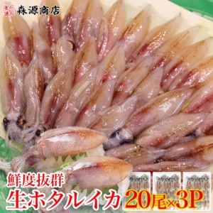 生ホタルイカ 生食用60尾（20x3パック) 冷凍便 ほたるいか 蛍烏賊 珍味 刺身 プレゼント 食品 グルメ 海鮮 父の日 500円クーポン