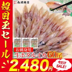 生ホタルイカ 生食用60尾（20x3パック) 冷凍便 ほたるいか 蛍烏賊 珍味 刺身 プレゼント 食品 グルメ 海鮮 父の日 500円クーポン