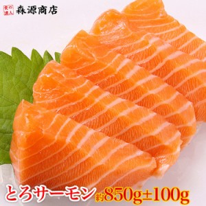 鮮度抜群！ 極上とろサーモン850g±100g 送料無料 冷凍便 お刺身/ムニエル/鮭/シャケ/鮮魚/鮭 BBQ 食品 グルメ 海鮮 プレゼント 母の日 