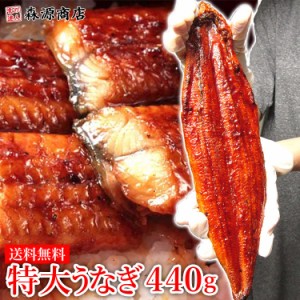 特大うなぎ蒲焼き440g (2尾)タレ付 中国産 鰻 ウナギ かば焼き 土用丑の日 スタミナ うな丼 冷凍便 キャッシュレス5%対象店 備蓄