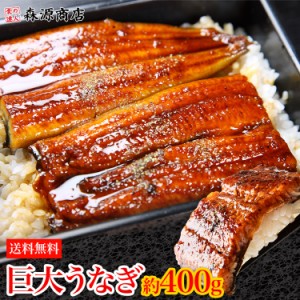 お中元 うなぎ 巨大 うなぎ蒲焼 1尾 約400g 無頭 ウナギ 鰻 蒲焼 かば焼き のし対応可能 冷凍便 土用の丑の日 海鮮 土用の丑の日 プレゼ