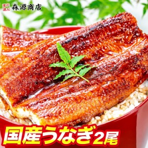 父の日 国産うなぎ 2尾 約150g ×2 蒲焼き かば焼き 鰻 ウナギ かば焼き 土用の丑の日 スタミナ お取り寄せグルメ 食品 プレゼント 母の