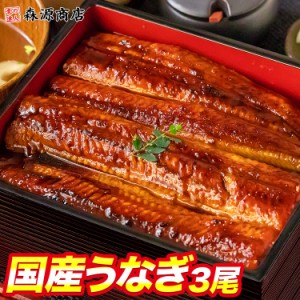 国産うなぎ 3尾 約150g ×3 蒲焼き かば焼き 鰻 ウナギ かば焼き 土用の丑の日 スタミナ お取り寄せグルメ 食品 プレゼント 母の日 新生