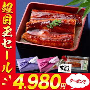 父の日 うなぎ 蒲焼き 国産 2尾 大約150g×2本 選べる風呂敷包み プレミアム会員送料無料 鹿児島県産 冷凍便 鰻 ウナギ かば焼き 土用の