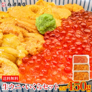 無添加 生うに いくら 食べ比べセット 2〜5人前 みょうばん不使用 ウニ イクラ 送料無料 冷凍便 サーモントラウト 海鮮丼 食品 グルメ 海