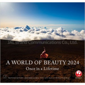 JAL「A WORLD OF BEAUTY」 2024年 ( 令和6年 )　カレンダー CL-1132(同梱不可)(ヒラcal)