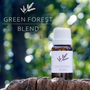 GREEN FOREST BLEND 10ml グリーンフォレストブレンド（アロマ アロマオイル エッセンシャルオイル ブレンドオイル 精油 樹木系 森林浴 