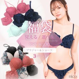福袋 ブラ セット  3点 中身が見える 大きいサイズ　レディース 下着福袋 2025 送料無料(x-002) [メール便不可]