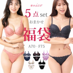 【送料無料】福袋 ブラセット ブラジャー ショーツ セット 5点 下着福袋 2023 (x-031)[メール便不可] レディース 下着  送料無料 ※沖縄