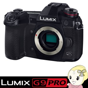 パナソニック ミラーレス一眼カメラ LUMIX DC-G9 ボディ