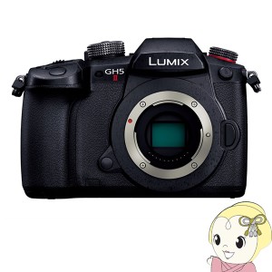 Panasonic パナソニック LUMIX Gシリーズ ミラーレス 一眼カメラ DC-GH5M2 ボディ