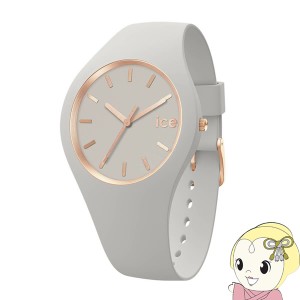 ICE WATCH アイスウォッチ 腕時計 ICE glam brushed ウィンド（スモール）019527