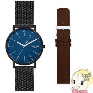 【国内正規品】スカーゲン SKAGEN 腕時計 メンズ SIGNATUR ベルトセット SKW1143