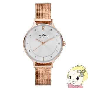 在庫処分　【国内正規品】スカーゲン SKAGEN 腕時計 レディース ANITA メッシュベルト 薄型 SKW2151