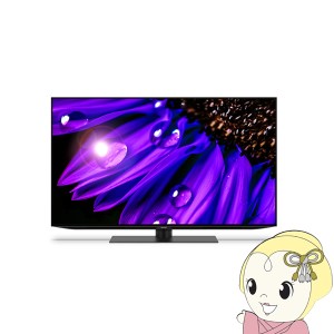 [予約]シャープ 4K有機ELテレビ 4T-C48EQ2