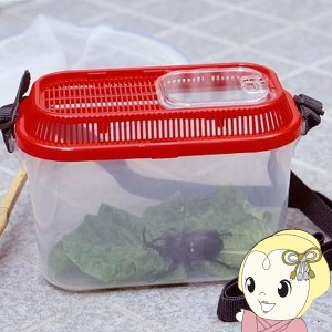 虫かご 飼育ケース アイリスオーヤマ 虫とりこぞう レッド SD-200 昆虫用品