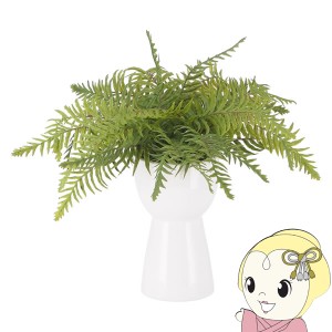 観葉植物 フェイクグリーン シダ おしゃれ セラミックポット