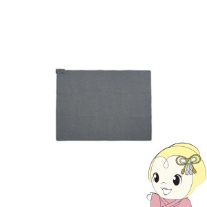 [予約]ホットカーペット 電気カーペット 2畳 176×176cm 省エネ MORITA TMC-200TS