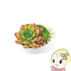 キシマ Succulent Refrerium サキュレントリフレリウム 消臭アーティフィシャルグリーン KH-60988