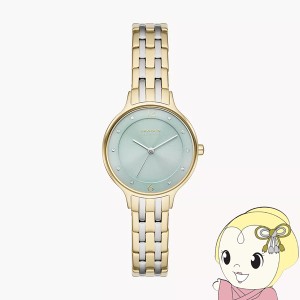 SKAGEN（スカーゲン） 腕時計「ANITA LILLE」 ステンレス ブレスレットウォッチ シルバー SKW3132