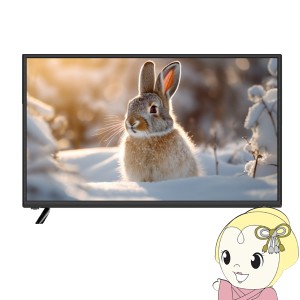 テレビ WIS ウィズ 32V型 ハイビジョン液晶テレビ HD 地上・BS・110度CSデジタル Wチューナー搭載 AS-32WR