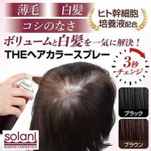 THEヘアカラースプレー　白髪隠し スプレー ボリュームキープ ヘアカラースプレー マリンリゾートブランド solani