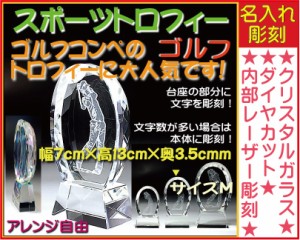 ≪トロフィー　ゴルフ 名入れ 彫刻料込み　ホールインワン記念　ゴルフ大会　記念品 表彰　誕生日プレゼント≫★完全オリジナルデザイン