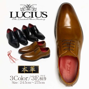 WEB限定 LUCIUS 革靴 メンズ 本革 ビジネスシューズ ストレートチップ レースアップシューズ サイドゴア ブランド ルシウス 大人 カジュ