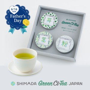 ［緑茶］お茶 ギフト Green Ci-Tea (グリーンシティ) Vol.2 超早割 早割 送料無料 敬老の日 父の日 母の日 超早割 早割 ギフト 静岡茶 日