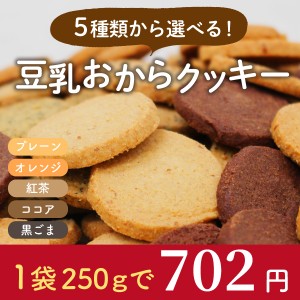 豆乳おからクッキー 黒ごま 250g (訳あり 豆乳クッキー ダイエットクッキー 低糖質 置き換え 腹持ち 硬い)《ティーライフ》