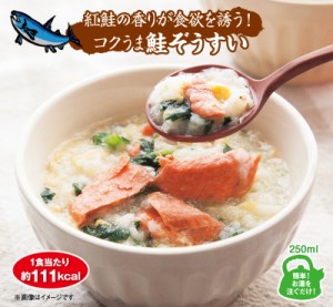 満腹鮭ぞうすい 10食入 (フリーズドライ 本格白だし 置き換えダイエット ダイエット食品 リゾット 雑炊  低カロリー)《ティーライフ》