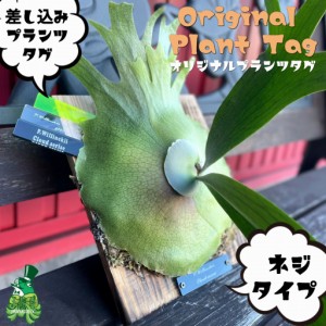 ゆうパケット 送料無料  2デザイン 3カラー【 オリジナル 製作 プランツタグ 】園芸ネームラベル 園芸ラベル 植物 ネームプレート ガーデ